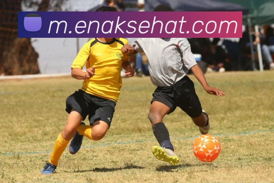 mksports官方网站平台生态图