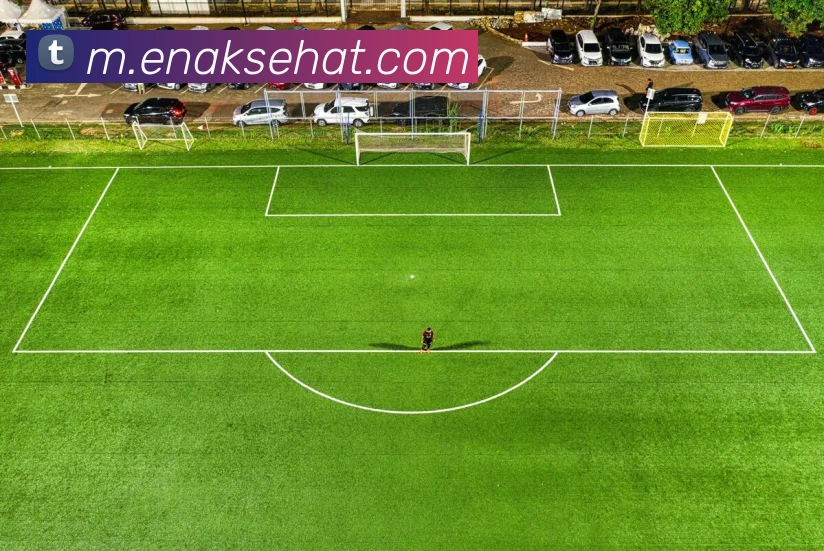 mksports官方网站APP 封面图